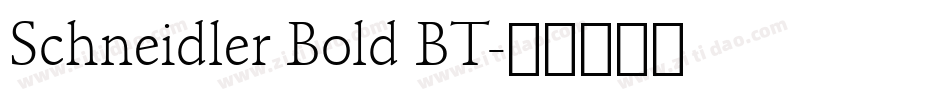 Schneidler Bold BT字体转换